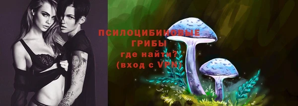 эйфоретик Алексин