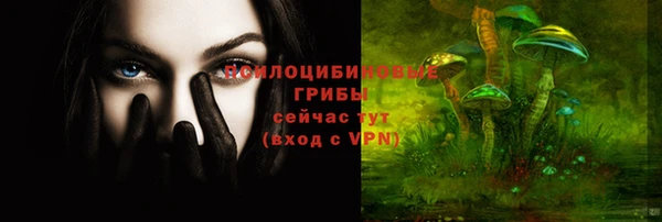 эйфоретик Алексин