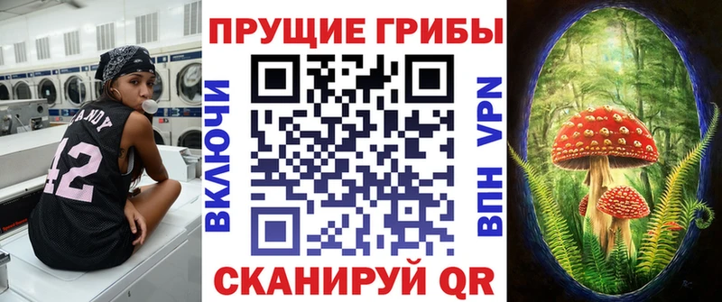 Галлюциногенные грибы Magic Shrooms  Белгород 