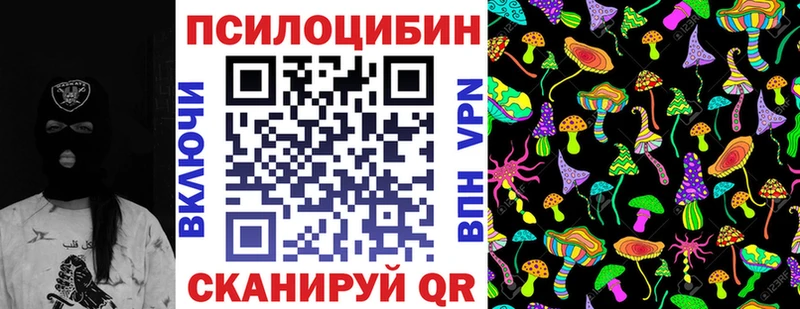 Псилоцибиновые грибы Cubensis Белгород
